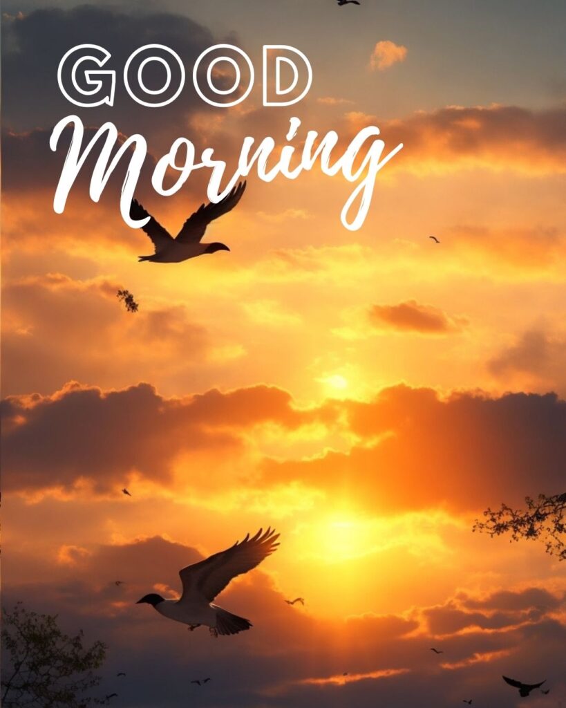 good morning images with sunrise and birds