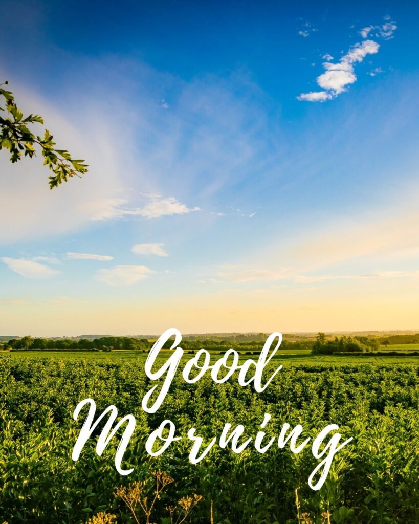 good morning images with bright blue sky