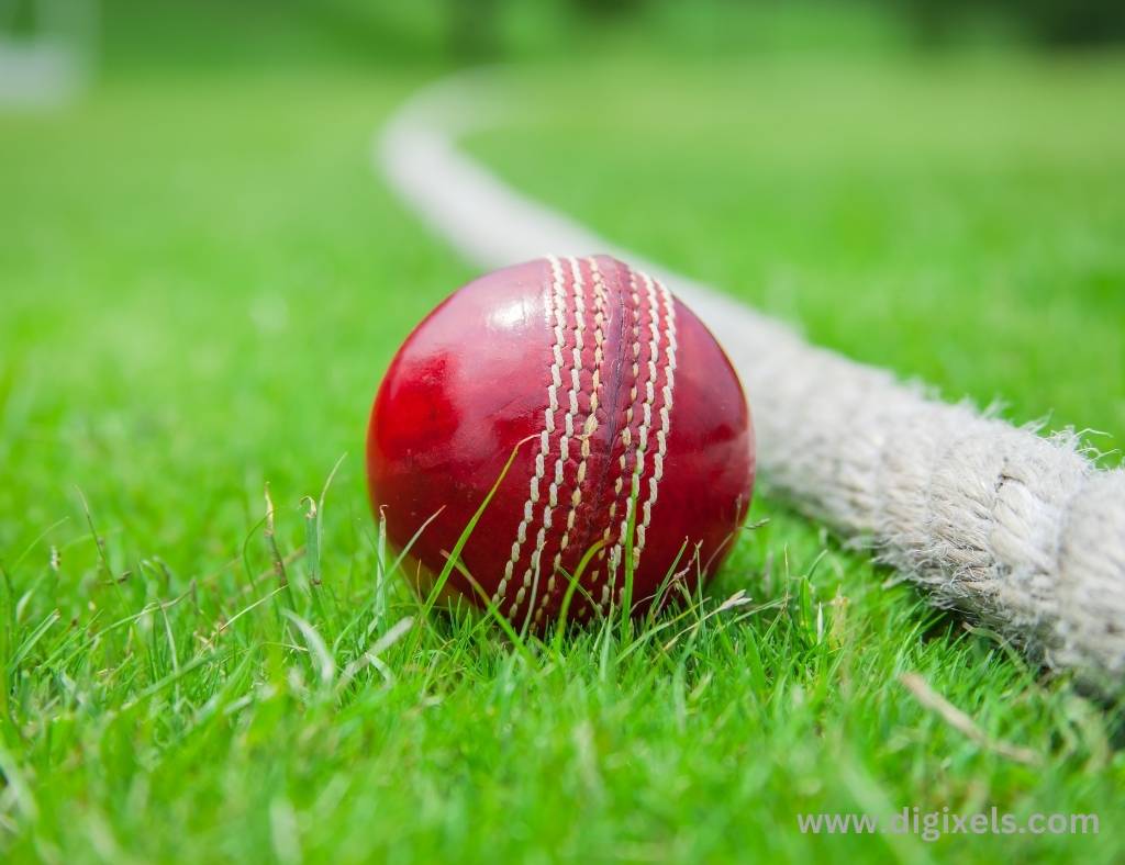 Cricket images of cricket ball, red ball on the boundary line, greenery ground.