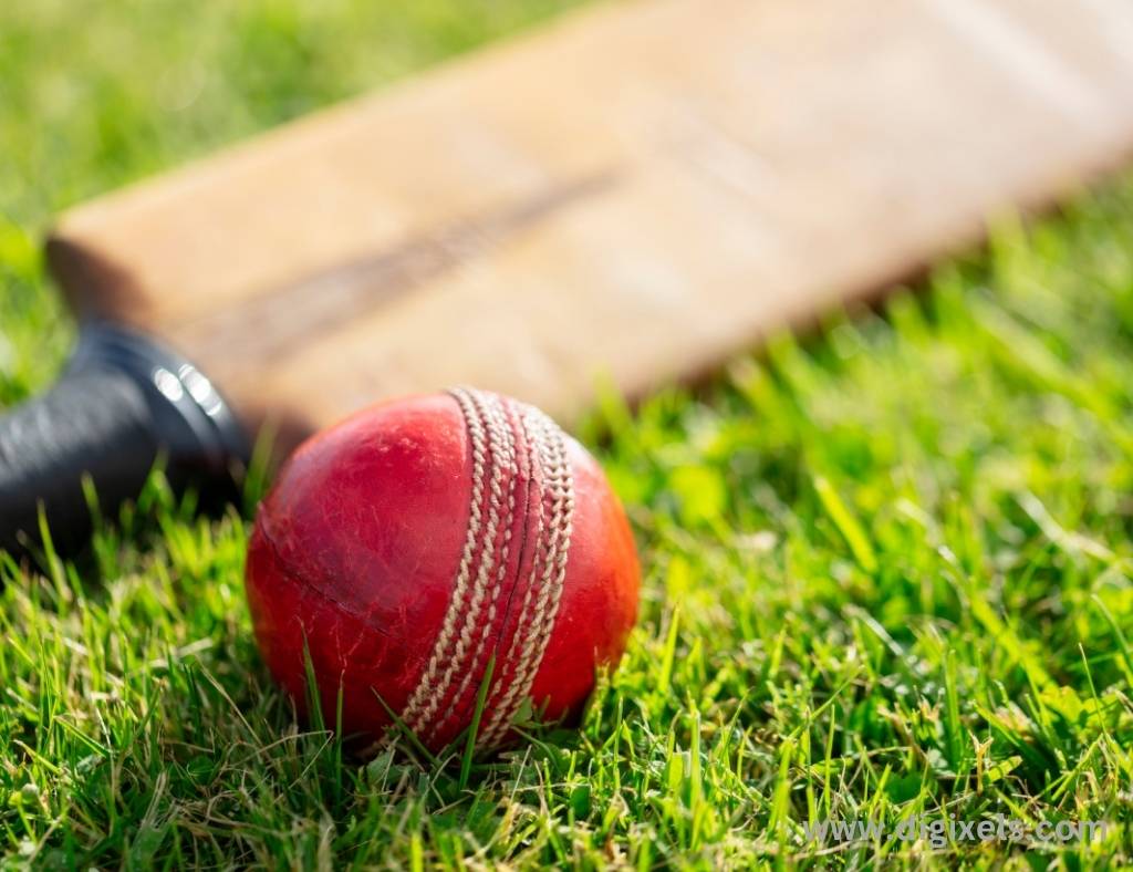 Cricket images of bat and ball together on the ground.