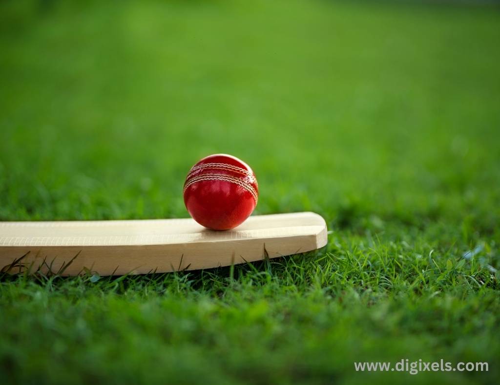 Cricket images, Cricket bat and ball, ball on the bat, red color cricket ball, bat and ball on the ground, green color field.
