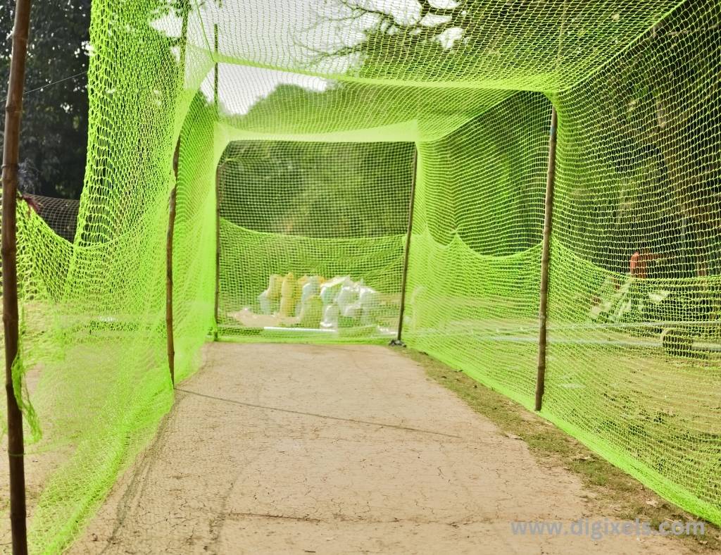 Cricket images, cricket net for net practice
