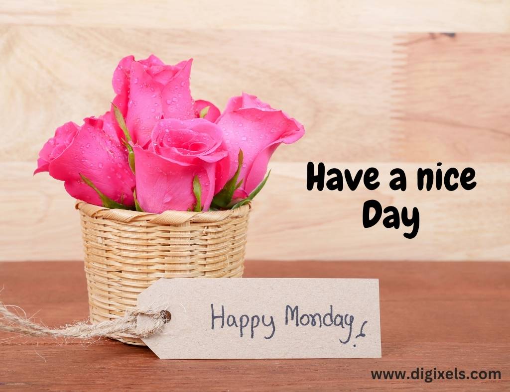 Happy Monday images with text, flowers, busket, board