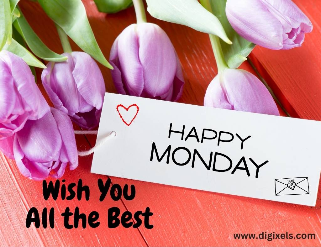 Happy Monday images with text, flowers, tulip flowers, name board