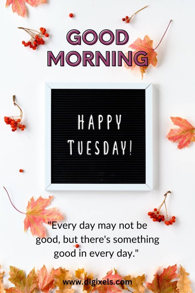 Happy Tuesday Images with text, quotes, flowers,