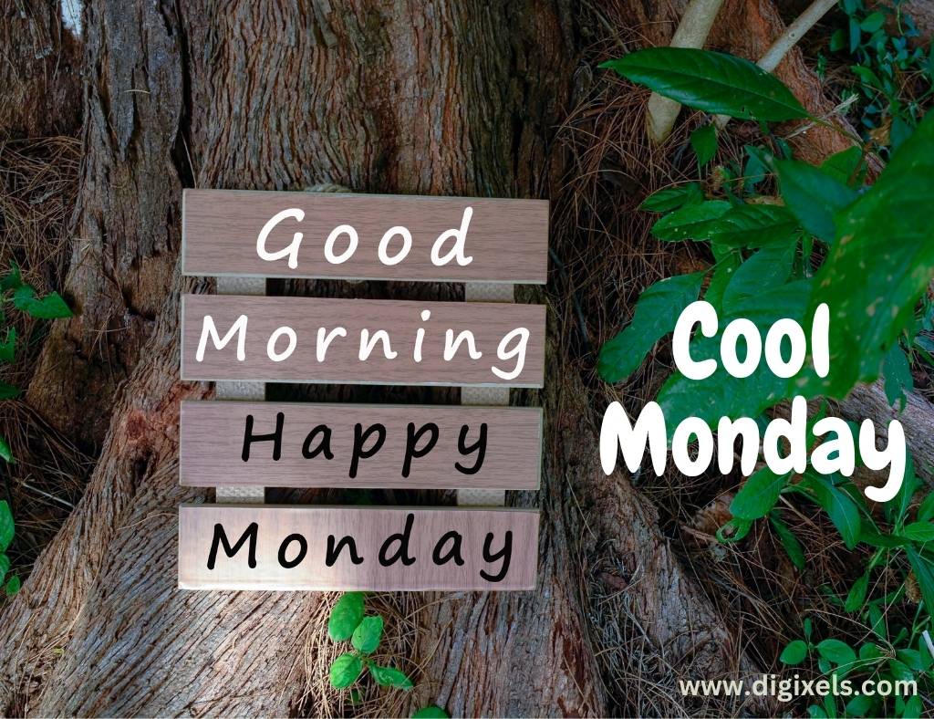 Happy Monday Images with quotes, text on wooden board, tree, leaves