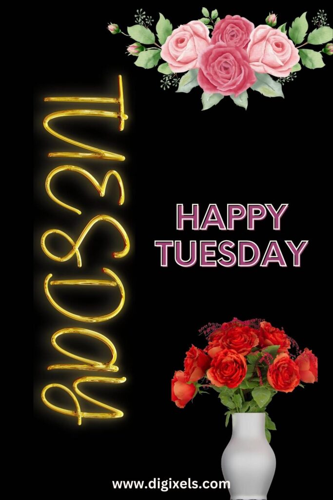 Happy Tuesday Images with text, quotes, flowers, flower pot