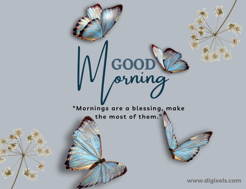 Good morning images with quotes, text, butterfly, flowers