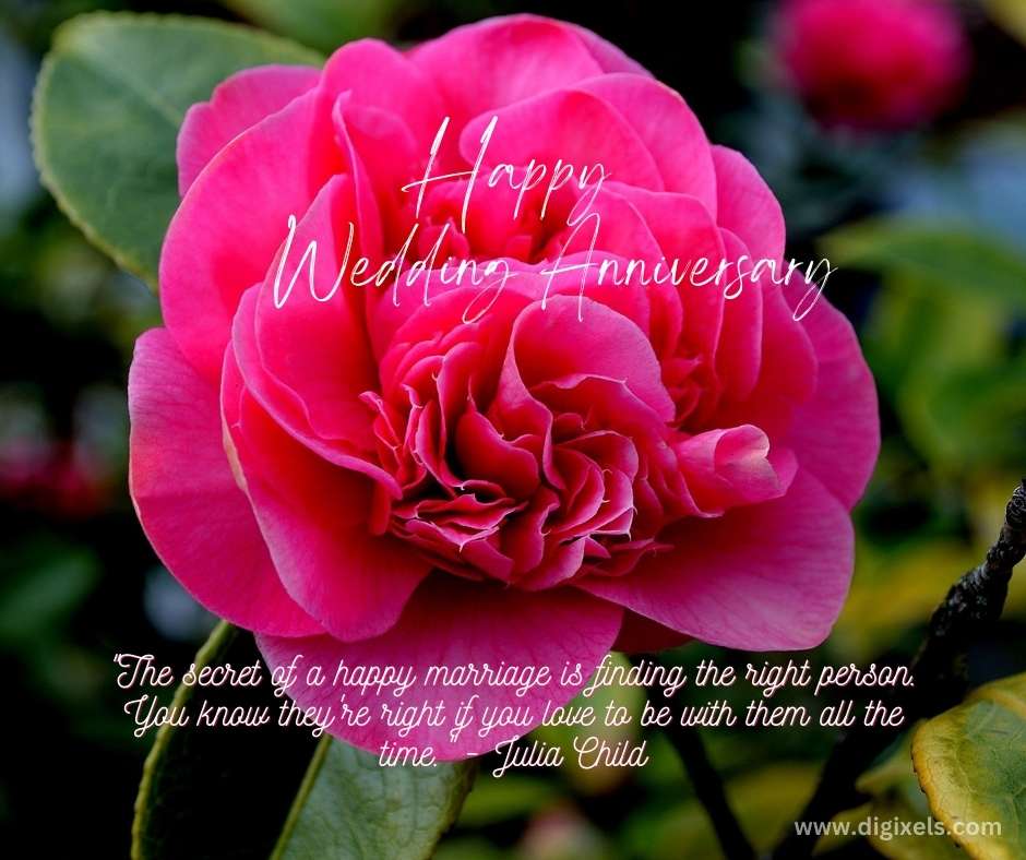 Happy Wedding anniversary Images with big rose flower, happy wedding anniversary text on it, and inspiring quotes, free download on Digixels.