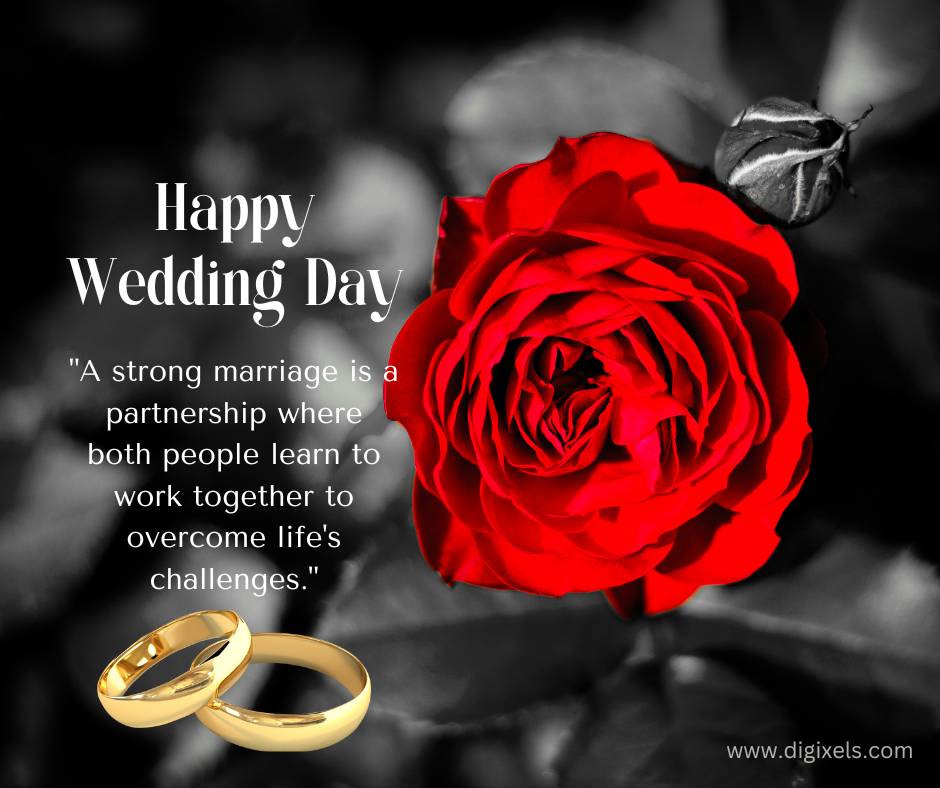 Happy wedding day images, with red rose flower, wedding ring below, vector design, free download.