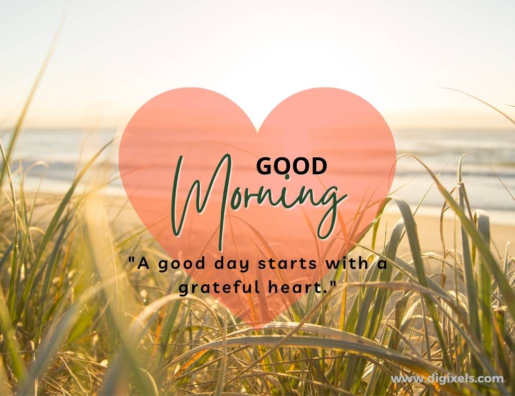 Good morning images with quotes, love icon, text, paddy
