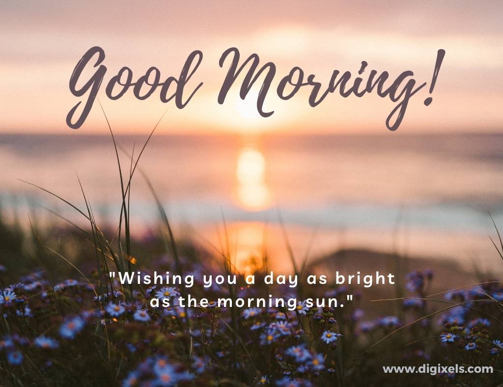 Good morning images with quotes, sun raise, text, flowers