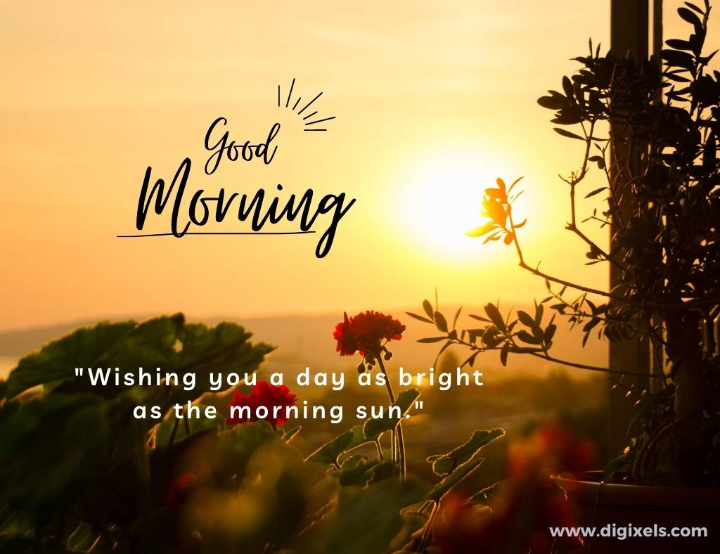 Good morning images with quotes, sun, text, flower, tree, plant