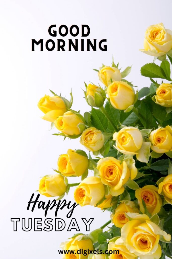 Happy Tuesday Images with flower, text