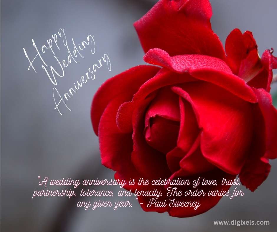 Happy Anniversary image with red rose flower, Happy wedding anniversary text on it, Inspiring quotes, free download on Digixels.