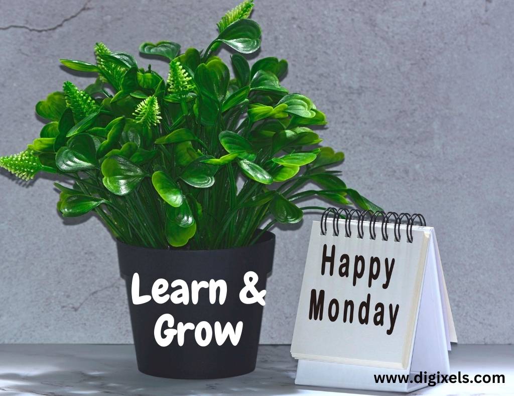 Happy Monday Images with quotes, text on flower top, flower plant, calendar