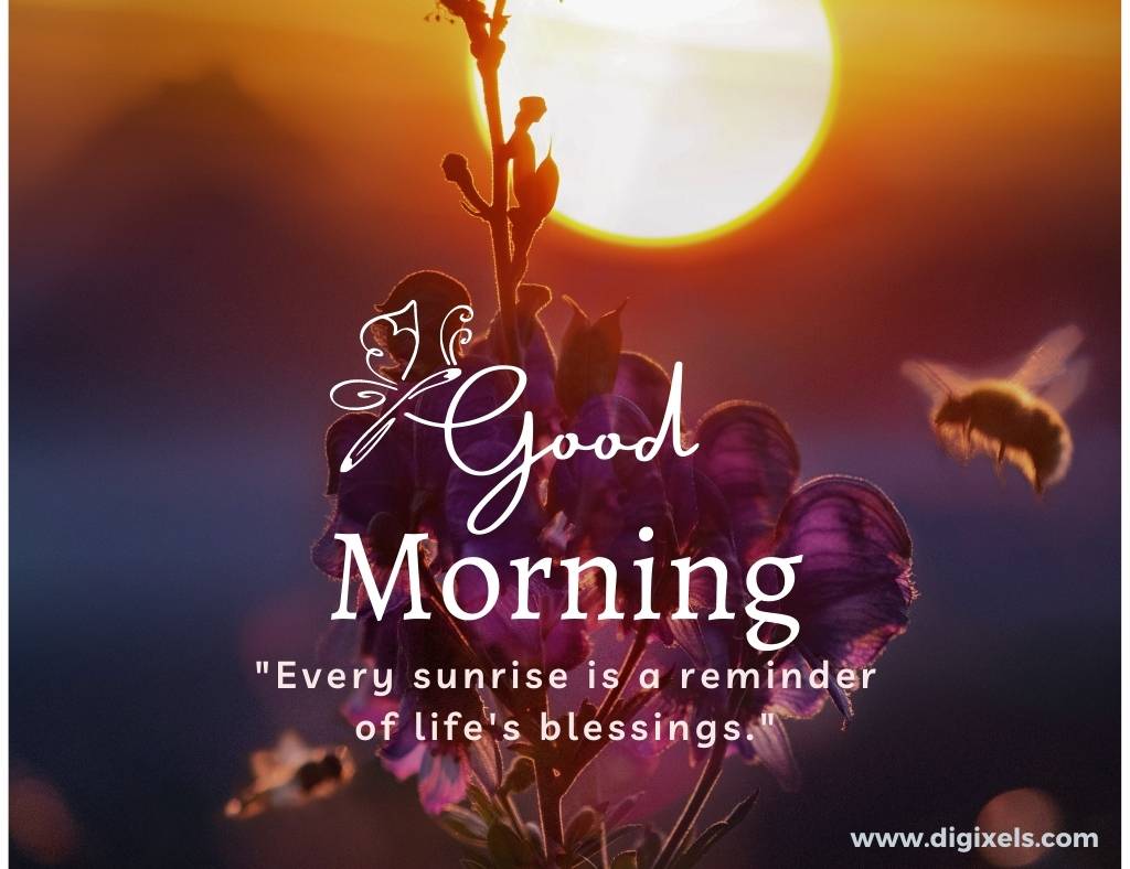 Good morning images with quotes, text, sun, bee, flower