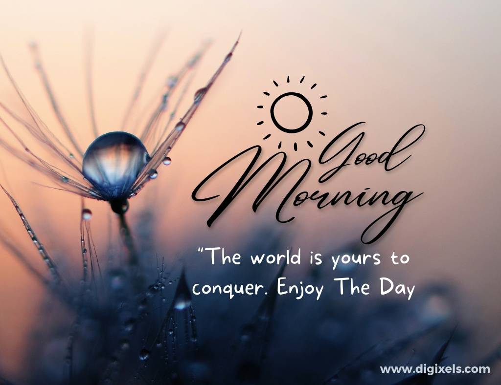 Good morning images with quotes, sun icon, text, flower, plant, dark sun raise