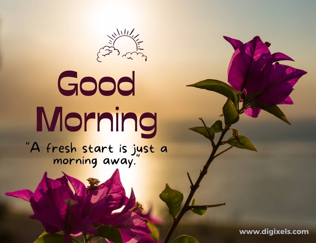 Good morning image with quotes, sun icon, sun, flower