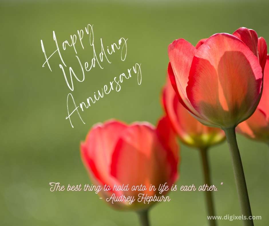 Happy anniversary image with three lotus flowers, text, quotes, download free on Digixels.