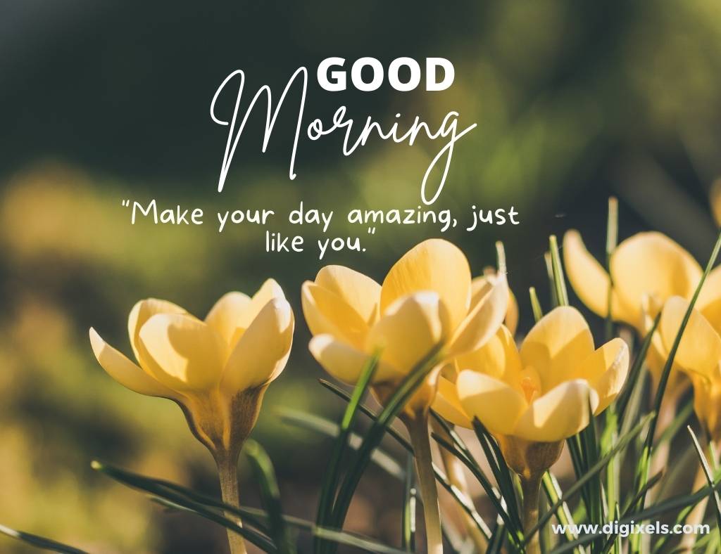 Good morning images with quotes, text, flower, tulip flower