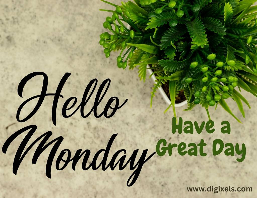 Happy Monday images with text, plant,