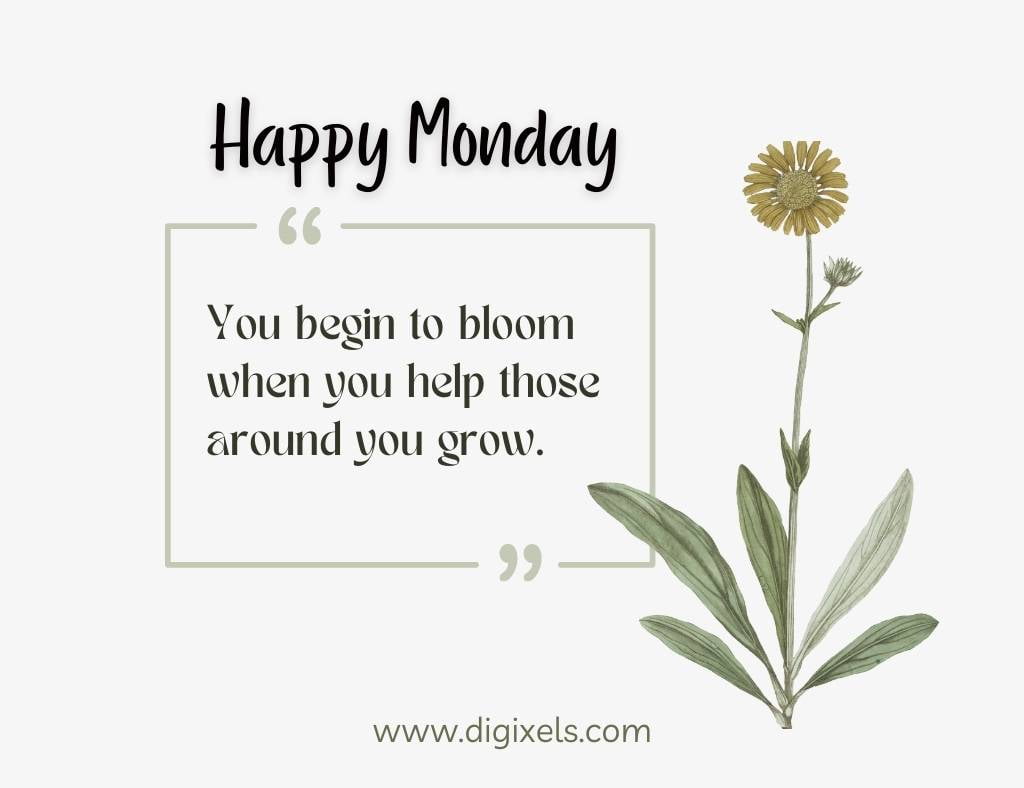 Happy Monday images with text, flower, plant