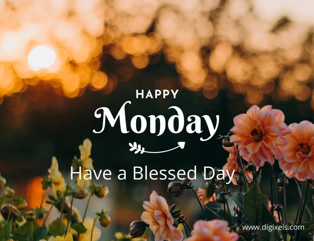 Happy Monday images with text, flower plant,