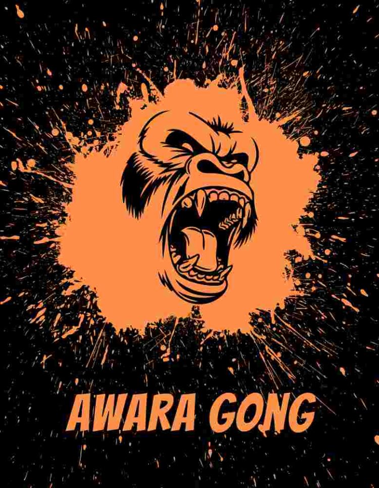 Awara Gong Graphic t-shirt